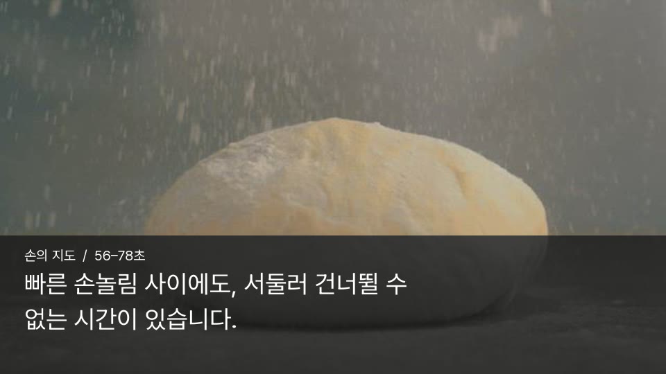 손의 지도